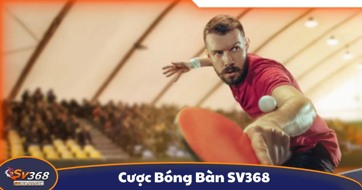 Cược Bóng Bàn SV368 - Cách Cá Cược Thể Thao Tốc Độ Cao 2 Cược bóng bàn là gì? Giới thiệu hình thức cá cược tại SV368