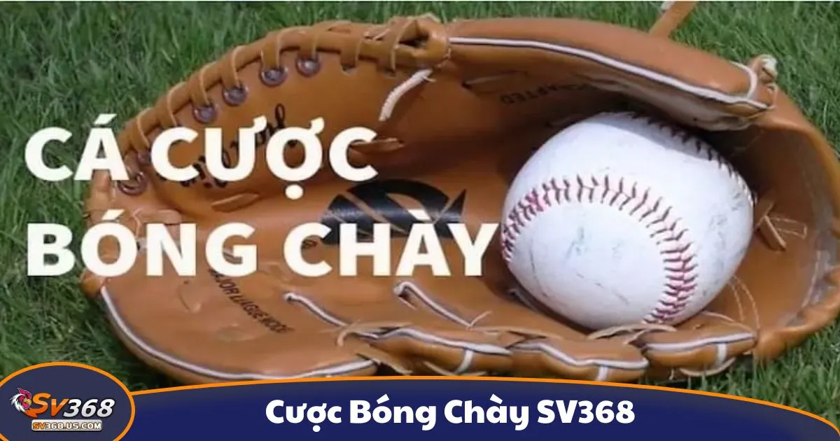 Cược Bóng Chày SV368 - Hướng Dẫn Cá Cược Thể Thao Mỹ 2 Cược Bóng Chày SV368 - Cược bóng chày là gì? Giới thiệu hệ thống kèo tại SV368