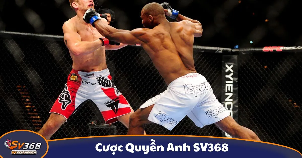 Cược Quyền Anh SV368: Cách Đọc Kèo Và Đặt Cược Đúng 2 Cá cược quyền anh là gì? Giới thiệu hệ thống cược tại SV368
