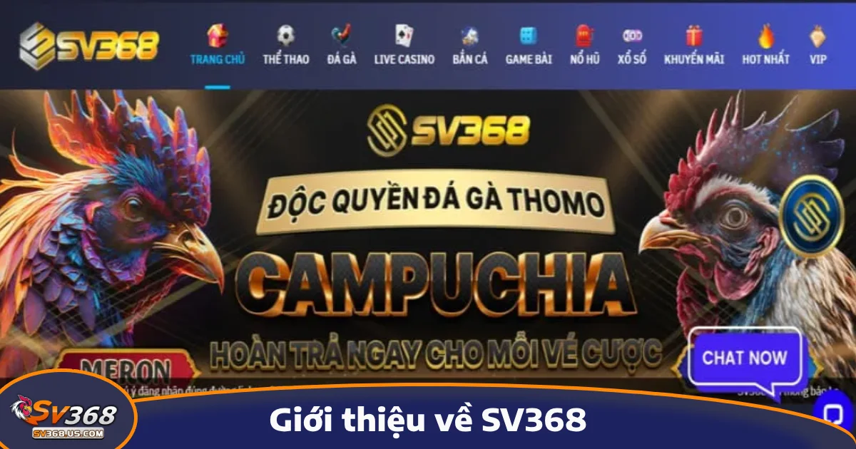 trang chủ 32 SV368 là điểm giải trí lý tưởng của đông đảo người chơi nhờ đa dạng sản phẩm