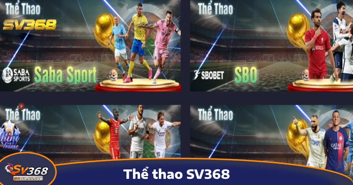 trang chủ 35 Thể thao SV368 với hàng trăm trận đấu sôi động diễn ra mỗi ngày