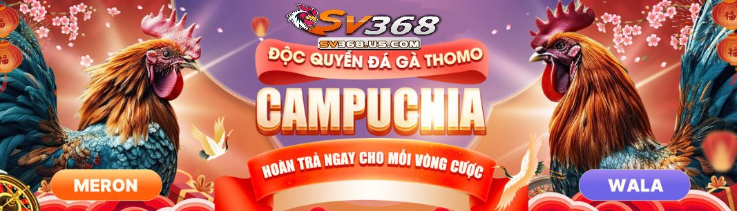 trang chủ 201 Giới thiệu tổng quan về SV368